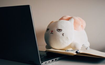 Connecting the Dots: A Step-by-Step Guide to Socket Programming